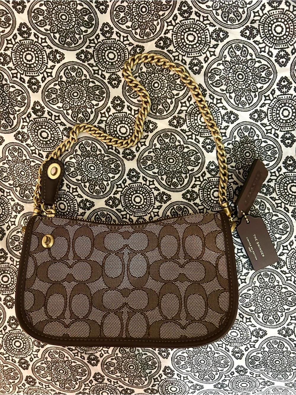 Coach Swinger Bag 20 w/ Chain